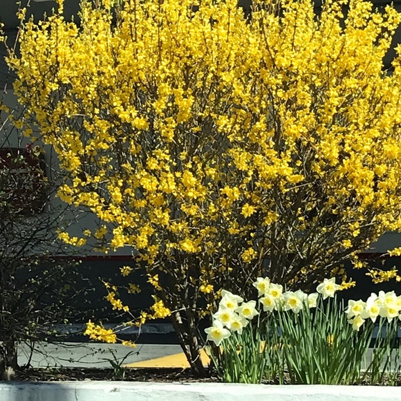 Ruth @ ModeBay 🇨🇦 ⭐️⭐️⭐️⭐️⭐️ - Picture 7 of 12